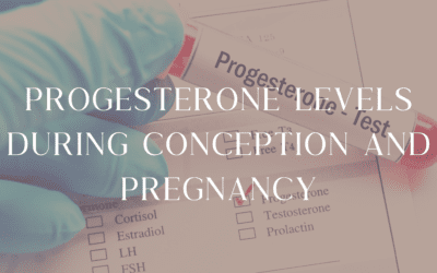 Progesterone Levels During Conception and Pregnancy