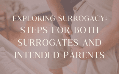 Exploring Surrogacy